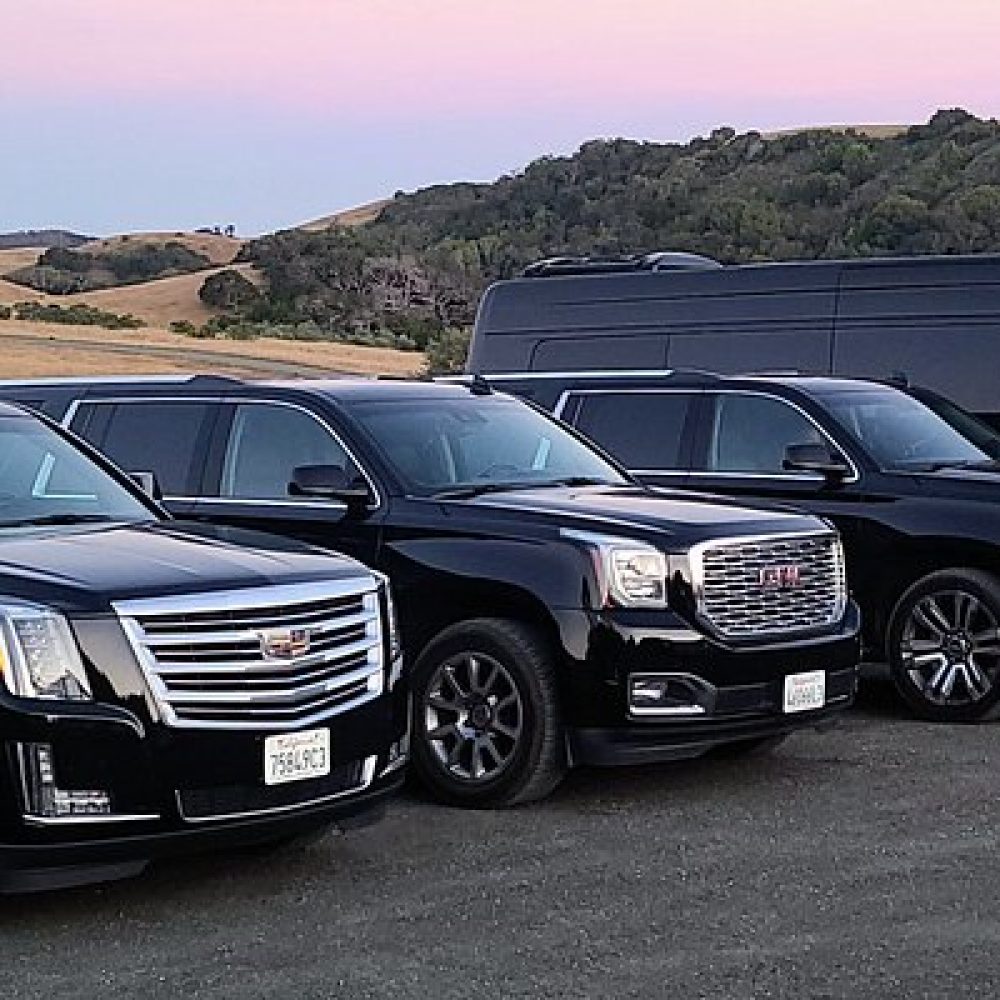 this-captivating-fleet